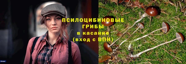 ПСИЛОЦИБИНОВЫЕ ГРИБЫ Аркадак