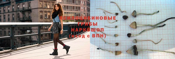 ПСИЛОЦИБИНОВЫЕ ГРИБЫ Аркадак