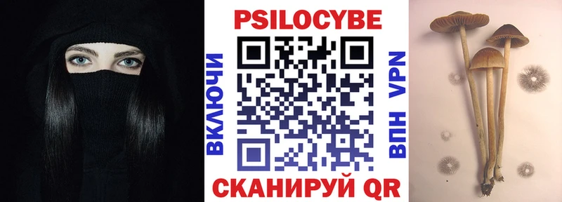 продажа наркотиков  Калязин  Галлюциногенные грибы Psilocybine cubensis 